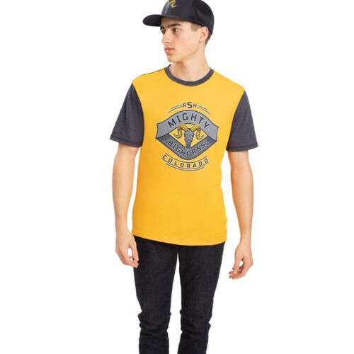 Gameday Vintage Ringer Tee Thumbnail